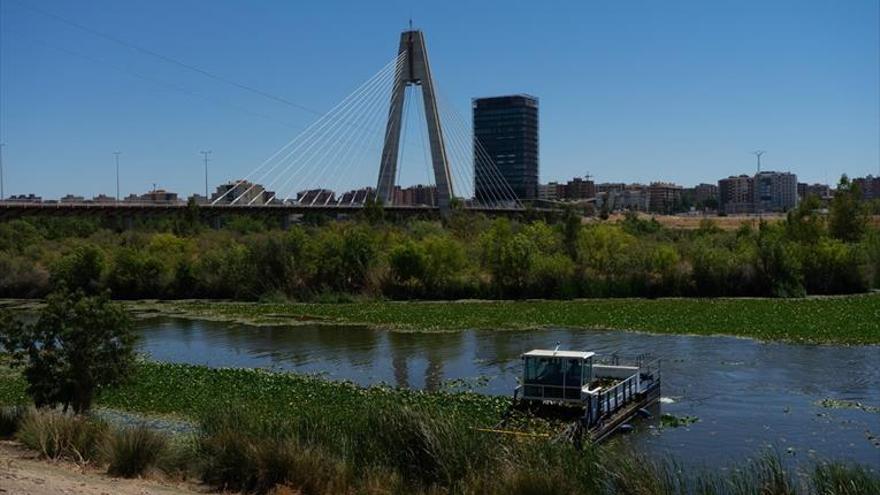 La CHG estudia hacer compuertas en los azudes de la Granadilla y Gévora