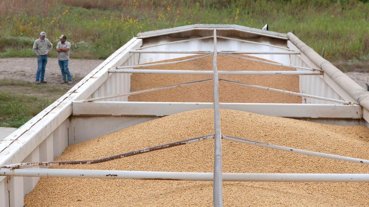 Dos agricultores charlan junto a un granero lleno de granos de soja en la localidad de Gregory (Arkansas), el pasado 24 de octubre.