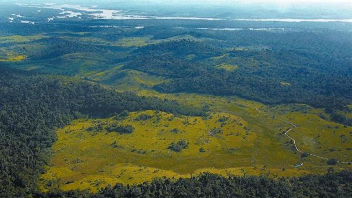 Una zona deforestada en las proximidades del río Xingu, en la Amazonia, en el norte de Brasil.