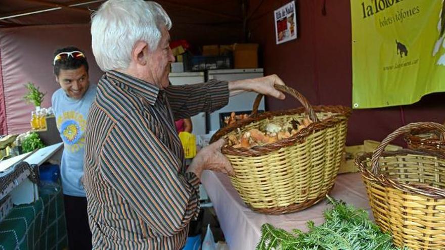 Emilio López diposita una gran cistella de rovellons en una parada del mercat de Cal Rosal, ahir