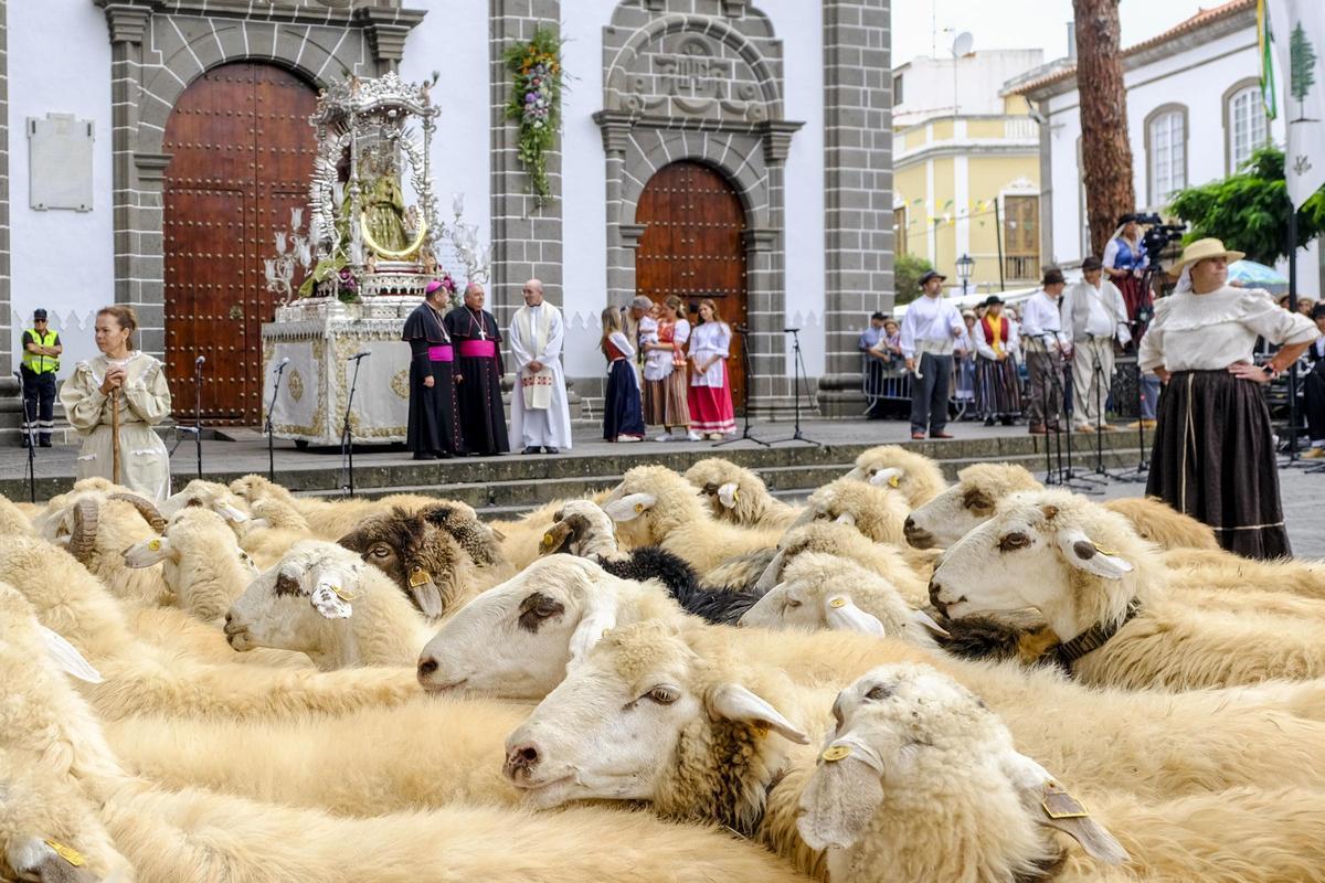 Un rebaño de ovejas a su llegada a las puertas de la basílica del Pino