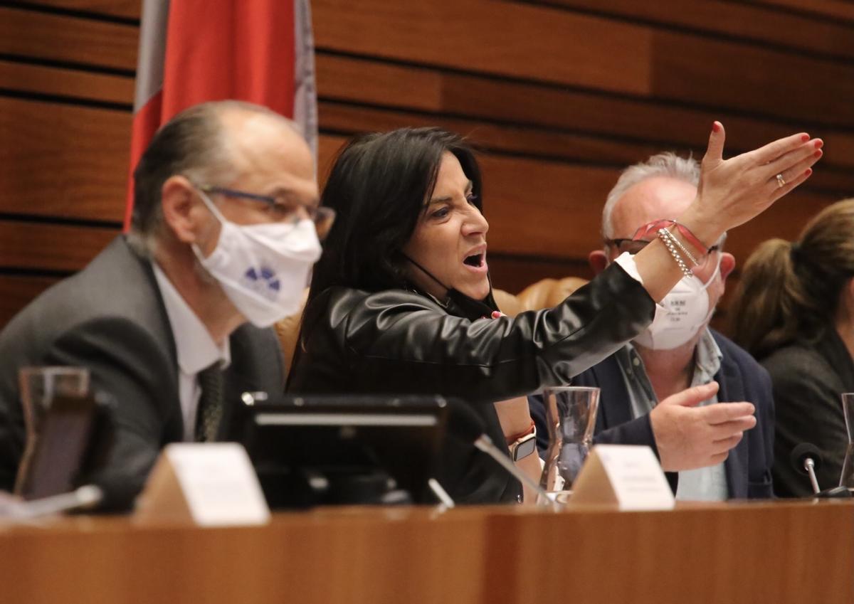 La procuradora socialista, Ana Sánchez, en un momento del bronco pleno de las Cortes.