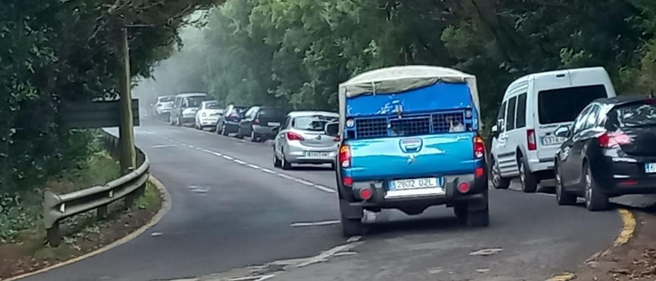 Vecinos de Anaga advierten del peligro de estacionar junto a la carretera en una curva sin visibilidad. | | E.D.