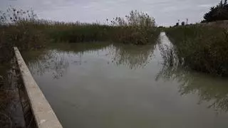 El Mar Menor recibe 0,8 hectómetros cúbicos de agua tras las últimas lluvias
