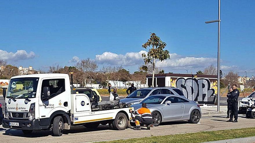 Uno de cada tres contratos de Cort está en el aire por retrasos en las licitaciones