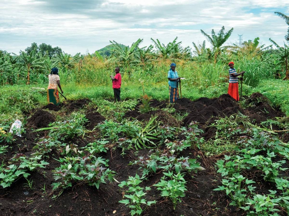 Uganda, África