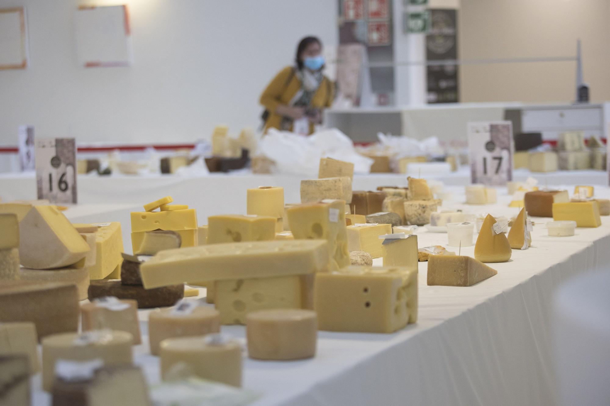 World Cheese Festival: las imágenes de los mejores quesos del mundo