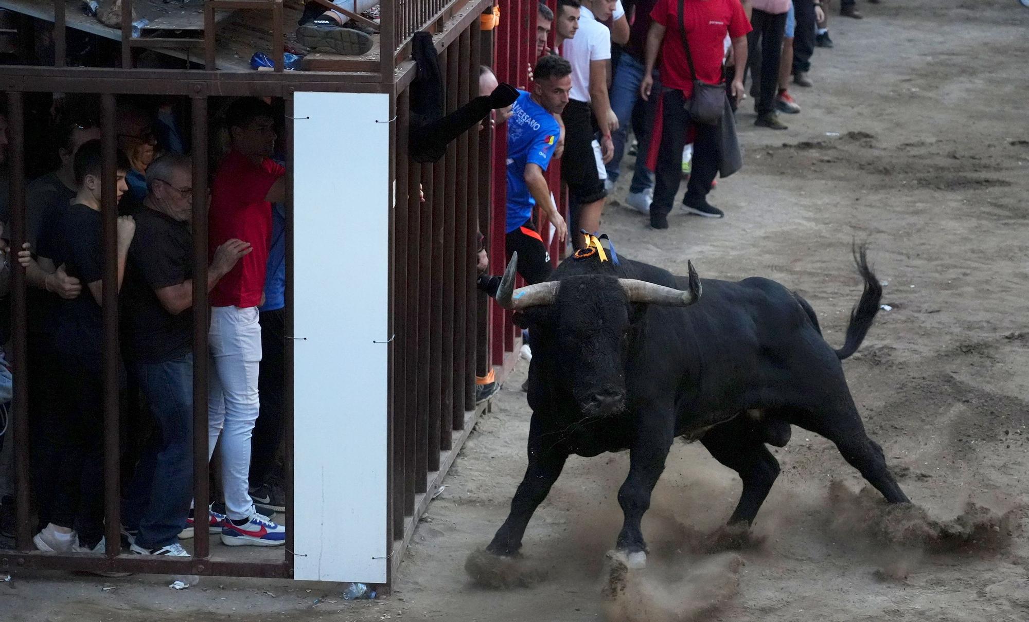 La tarde taurina del viernes de la Fira d'Onda, en imágenes