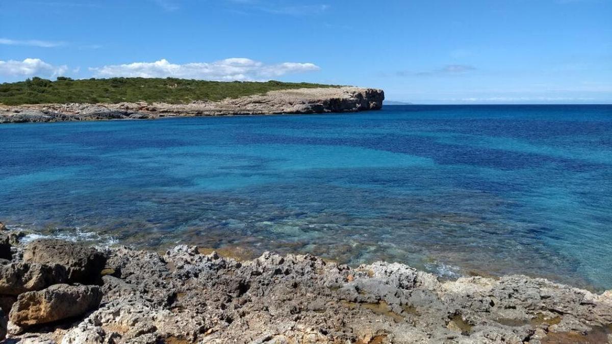 Varias entidades ecologistas y científicos reclaman un plan mejorado para las zonas marinas poco profundas de Baleares.