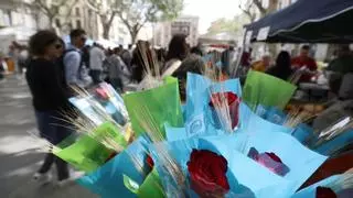 Sant Jordi 2024 a l'Alt Empordà