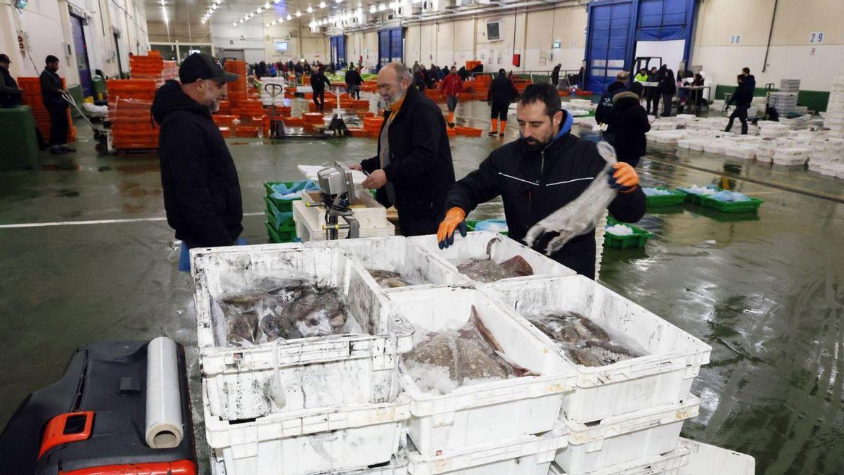 Subasta de pescado en la lonja de primera venta del puerto de Vigo.
