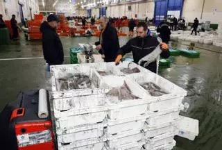 Uno de cada diez hogares en Galicia ya no consume nada de pescado en todo el mes