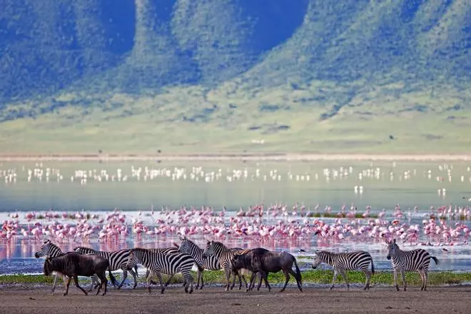 Ngorogoro, el cráter de Tanzania que parece sacado de la peli de El Rey León