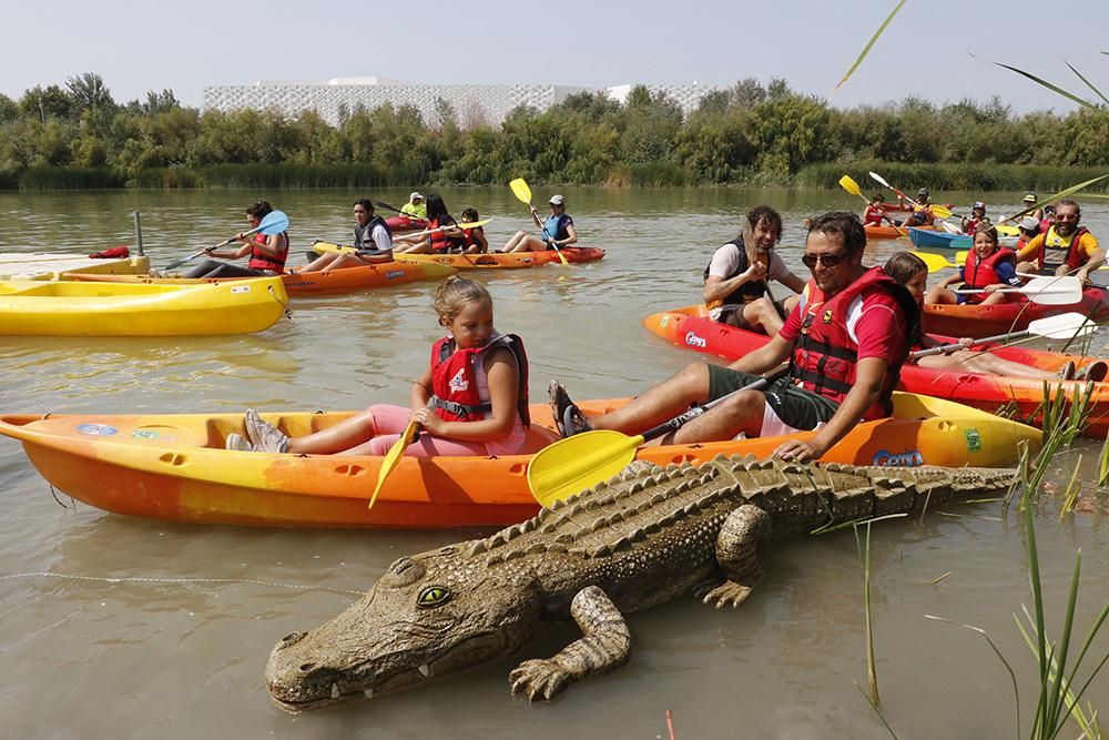 Fotogalería / Ruta del Caimán por el río Guadalquivir.