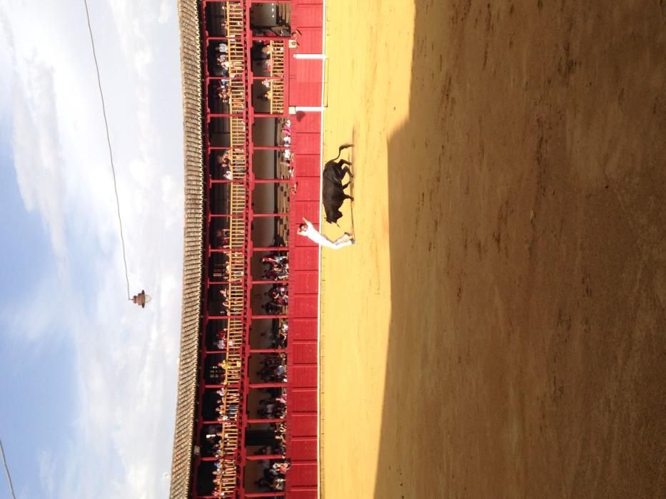 Fiestas Toro- concurso de jóvenes cortadores