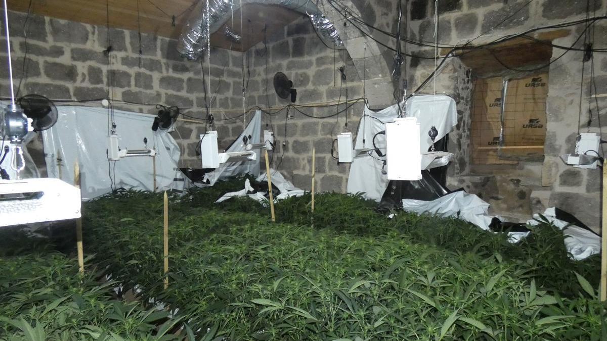 En una masia de la població de Siurana hi havia sospites que estaven cultivant marihuana