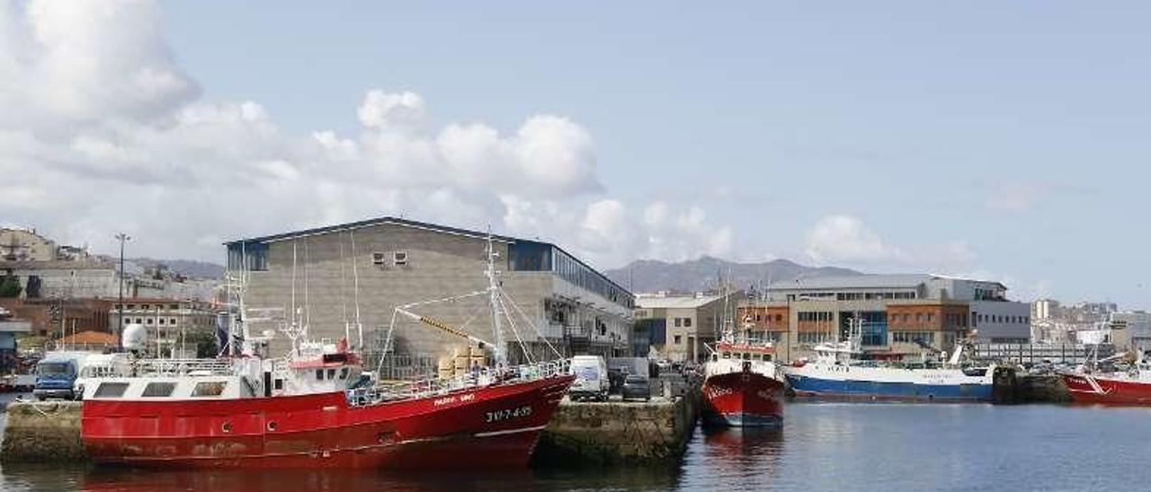 Palangreros (y arrastreros) amarrados el pasado verano en el puerto de Vigo. // Alba Villar