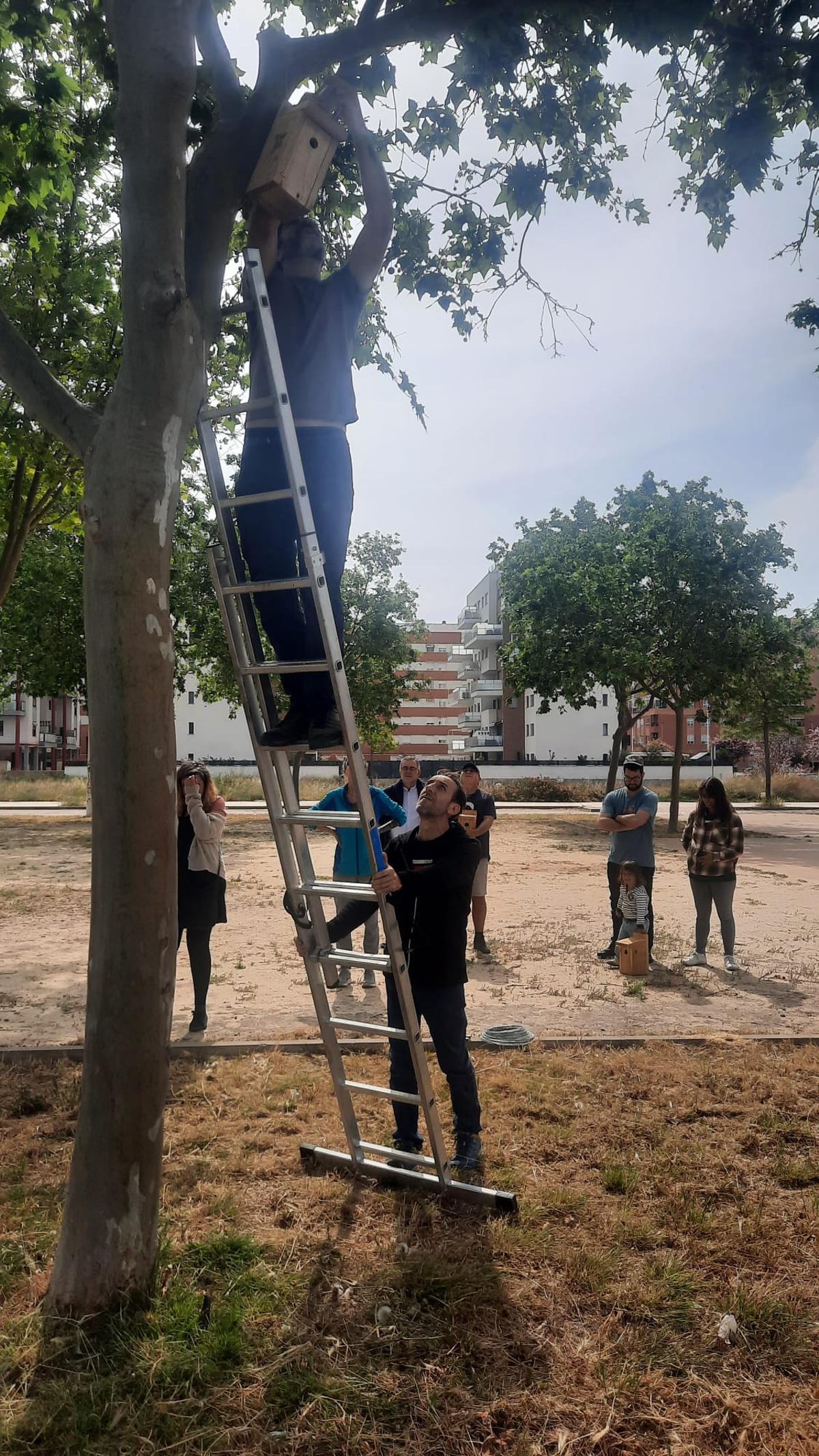 Instalación de cajas nido