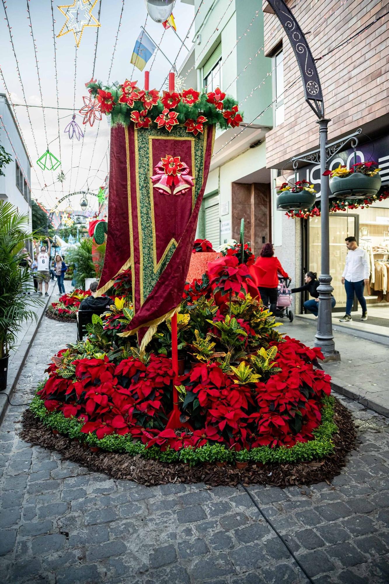 Semana de las Flores de Gáldar