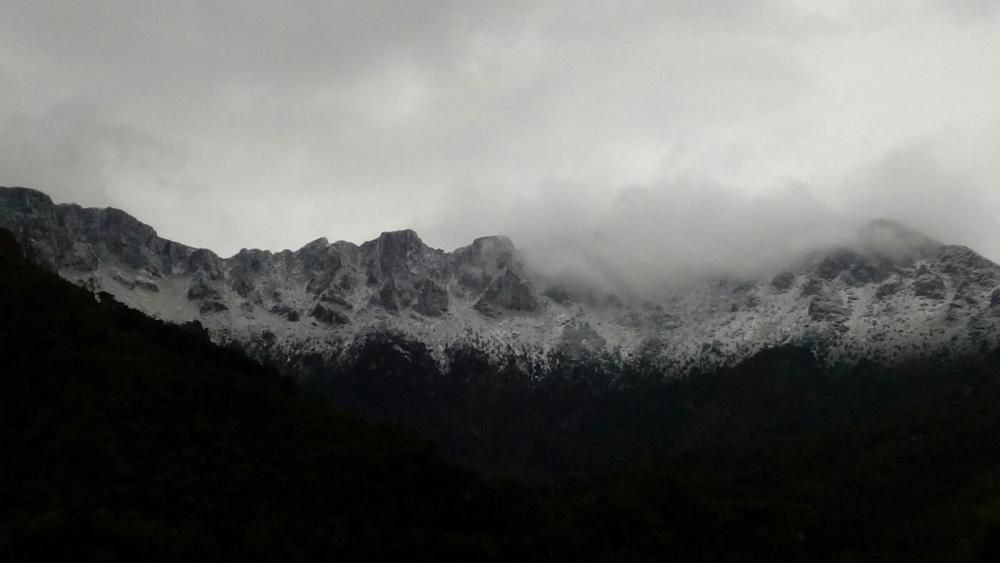 Fotos de la Llacuna, en Villalonga, completamente cubierta de nieve.