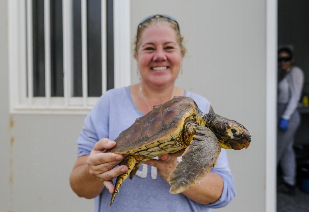 Reportaje centro de recuperación fauna marina de Taliarte, en Telde Reportaje centro de recuperación fauna marina de Taliarte, en Telde