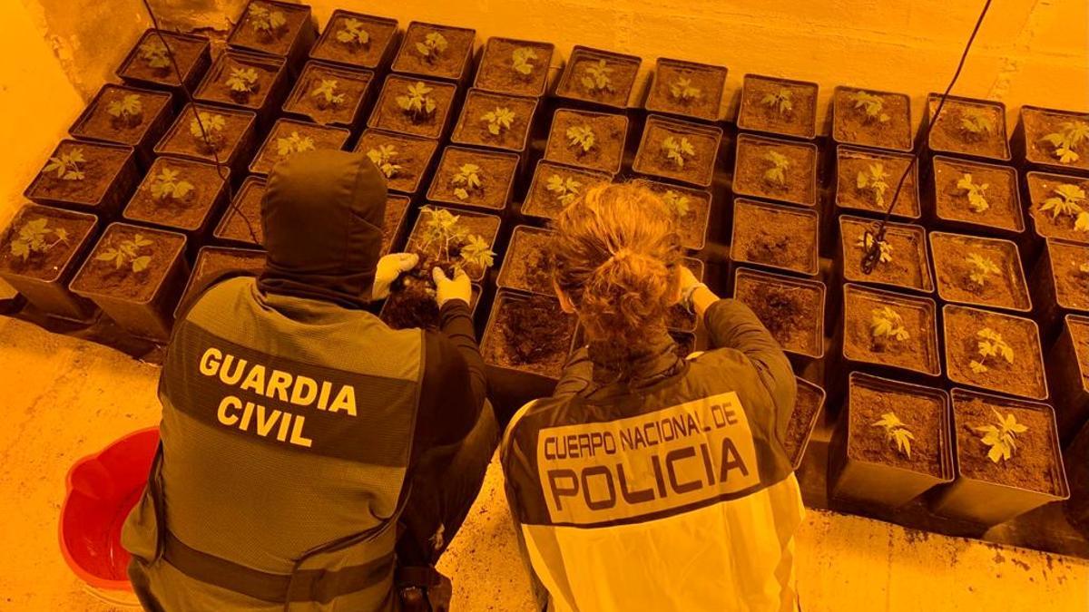 Operación conjunta de la Guardia Civil y la Policía Nacional en Toledo el pasado 13 de noviembre