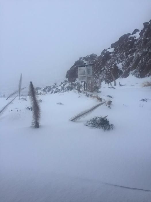 Temporal en Tenerife