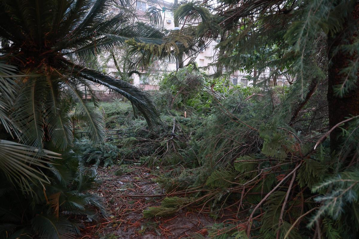 El drama de Médco Sorapán: la borrasca en Cáceres El drama de Médco Sorapán: la borrasca en Cáceres