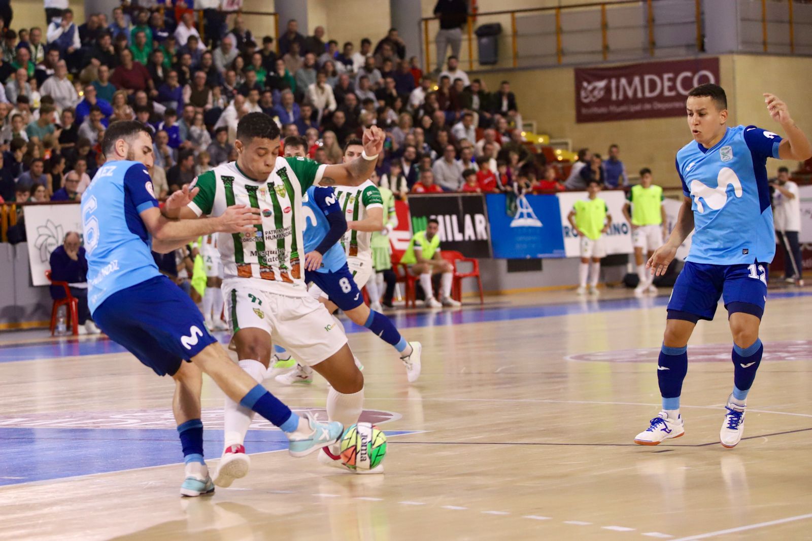 Córdoba Futsal - Movistar Inter: las imágenes del partido de Primera División en Vista Alegre