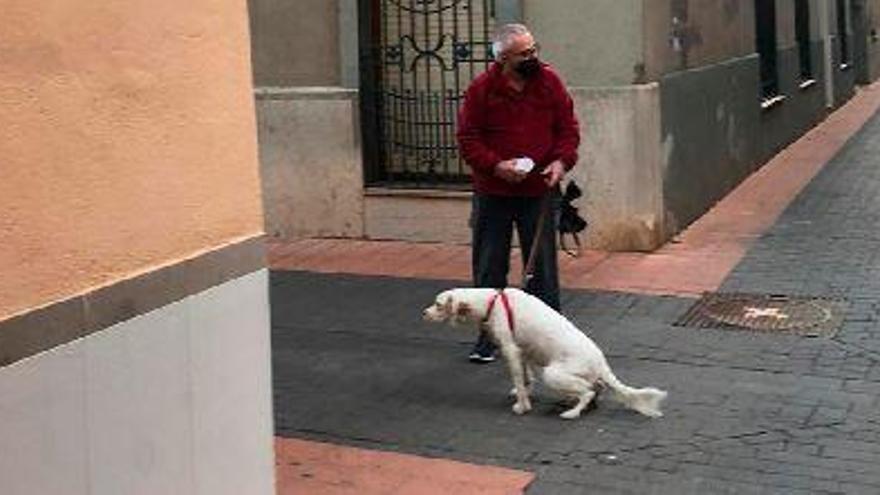 Nules impone 37 sanciones con la identificación del ADN canino