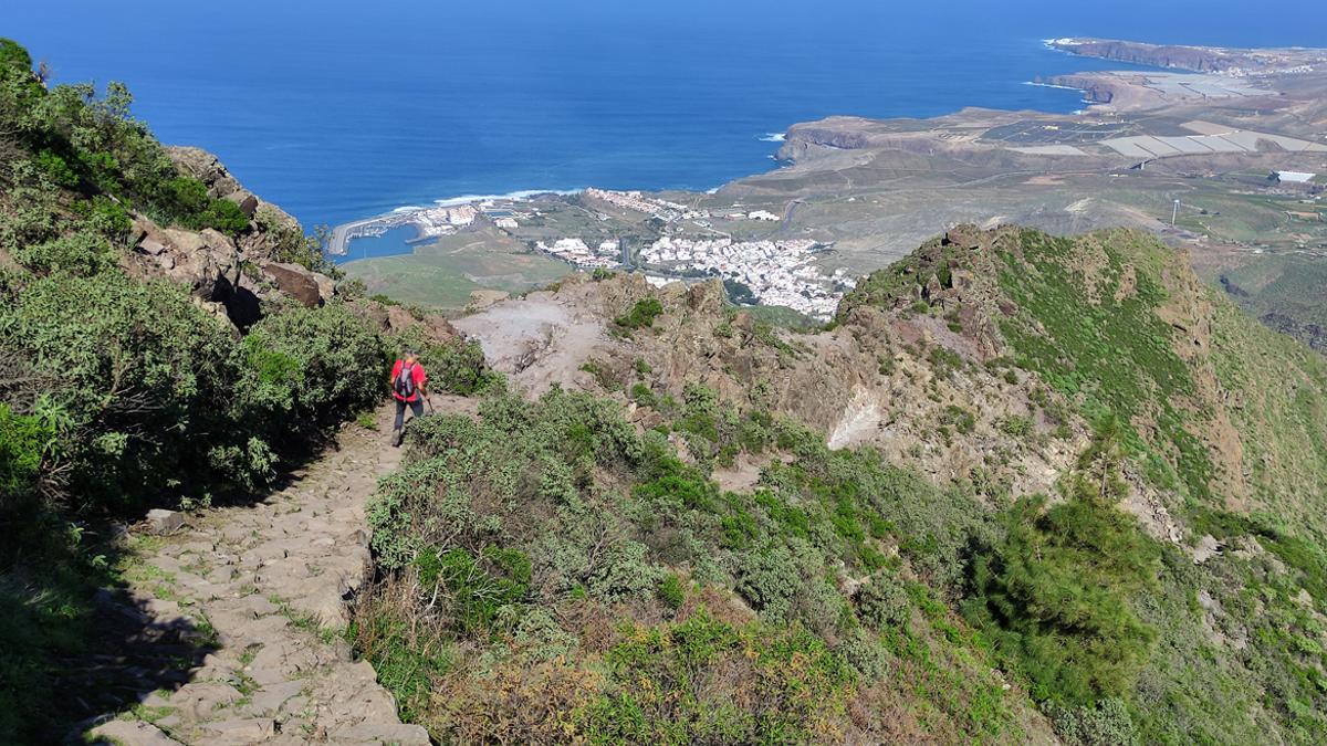 Imagen incluida en la web del Cabildo del sendero desde el Pinar de Tamadaba hasta el Puerto de Las Nieves de Agaete.