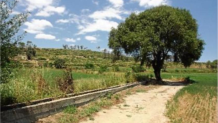 La pista forestal al terme municipal de Garrigoles a tocar de Jafre, on es va trobar el cadàver del motorista.