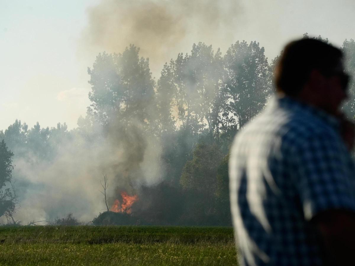 GALERÍA | Incendio en el "Plantío viejo" de Villaralbo