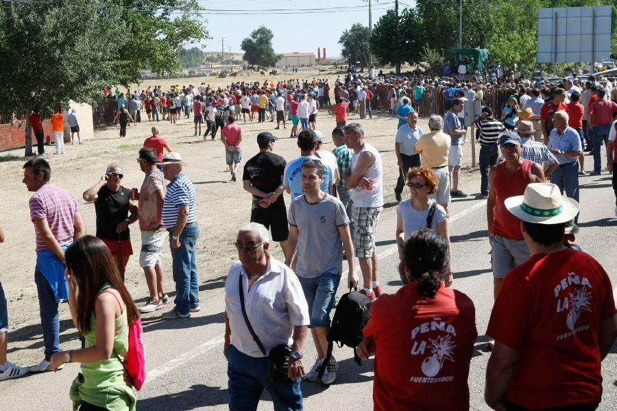 Fiestas en Zamora: Segudos espantes de Fuentesaúco