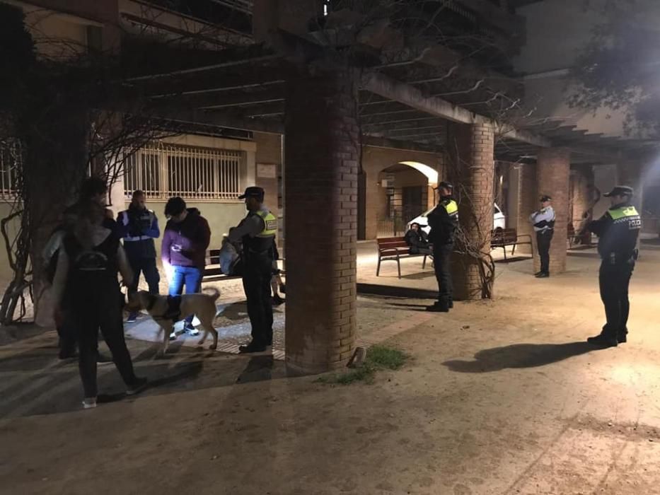 Gossos ensinistrats en un operatiu a Figueres