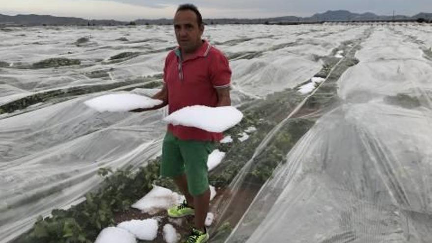 Un agricultor con dos bloques de granizo sobre el invernadero de parras que la tormenta destrozó.