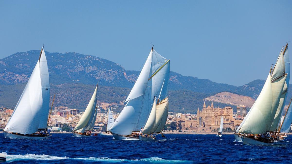 Imagen de la pasada edición en la Bahía de Palma.