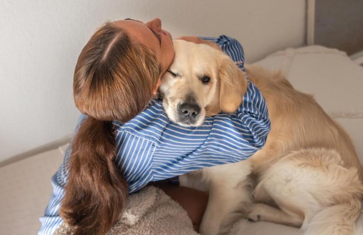 Terapia amb gossos: una bona solució?