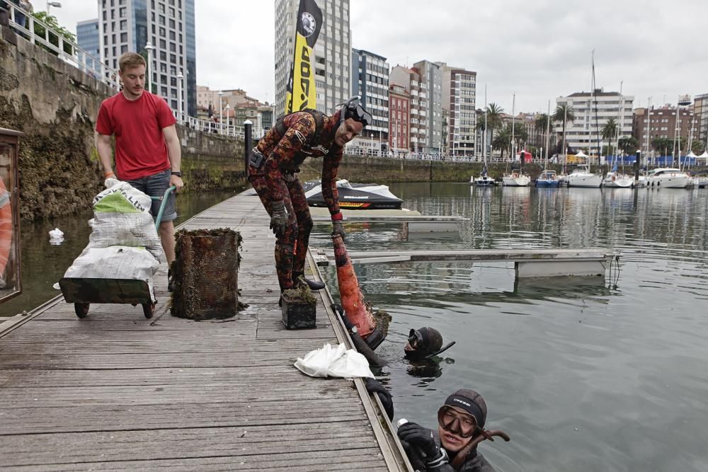 Labores de recogida de basura del fondo del muelle