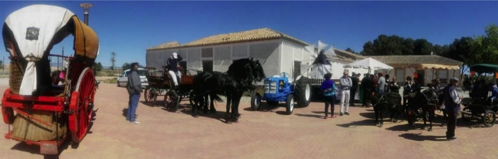 Fiesta de los Molinos en Torre Pacheco