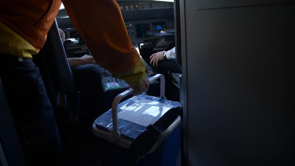 Transporte aéreo ed órganos