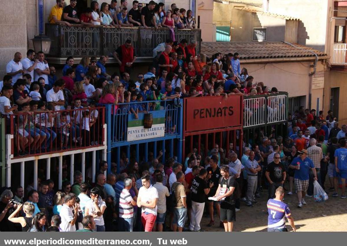 GALERÍA DE FOTOS -- Jornada dominical de Santa Quitèria en Almassora
