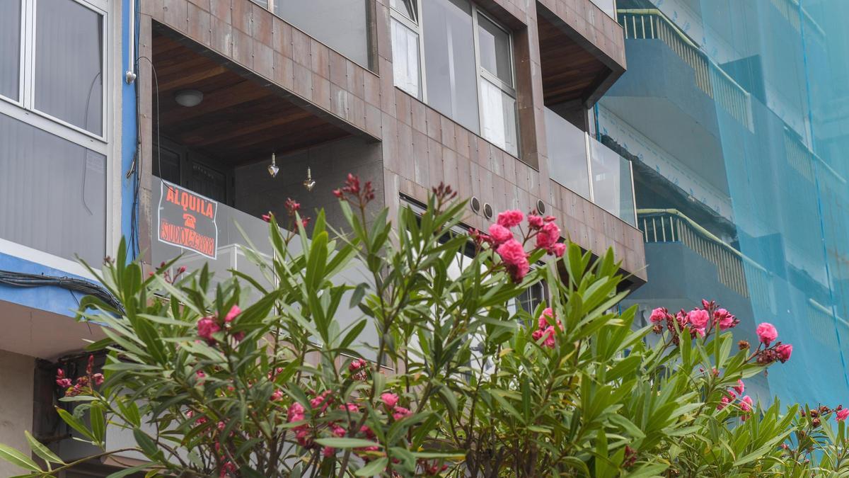 Vivienda en alquiler en Las Canteras, en Las Palmas de Gran Canaria.