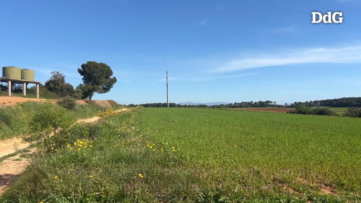 Vídeo: Bàscara engega el procés per embargar els terrenys del polígon d'Orriols per un deute d'1,8 milions