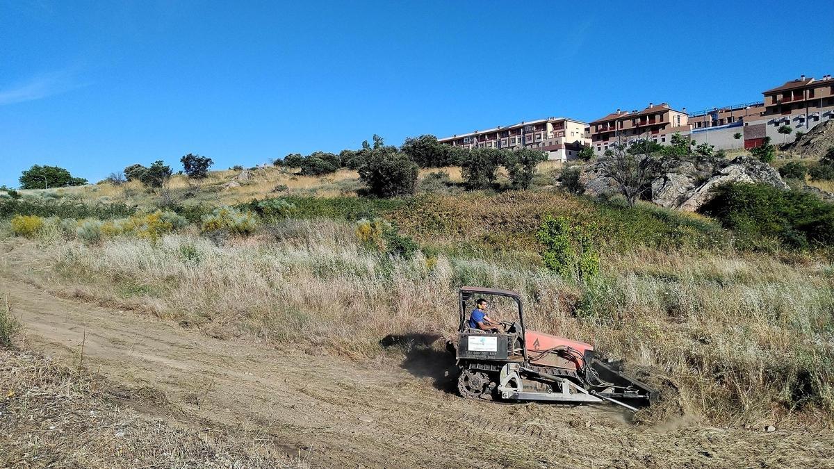 Desbroce de pastos en Plasencia para evitar incendios.