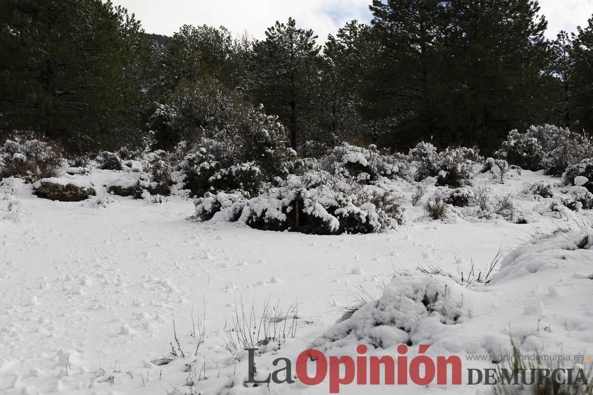 La borrasca Herminia tiñe de blanco la cima de la Región de Murcia