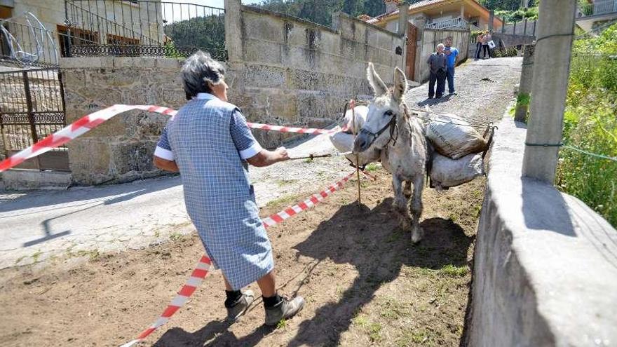 Una mujer trata de pasar con su burro entre el cierre instalado en el vial por uno de los residentes.