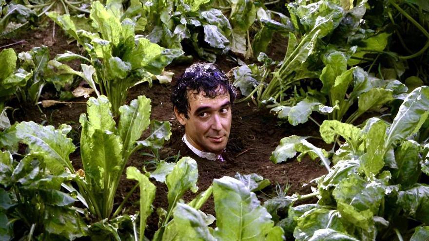 Cuestión de arraigo