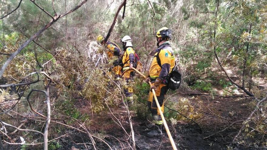 Controlado el incendio forestal en Formentera