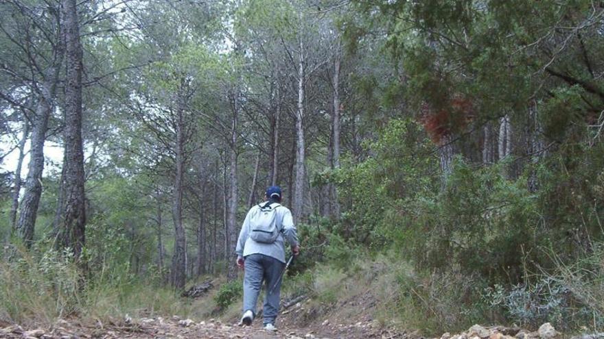 Los bomberos rescatan a dos perros atrapados en un pozo de nieve en Xixona